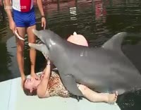 curtis gabbert add dolphin porn image