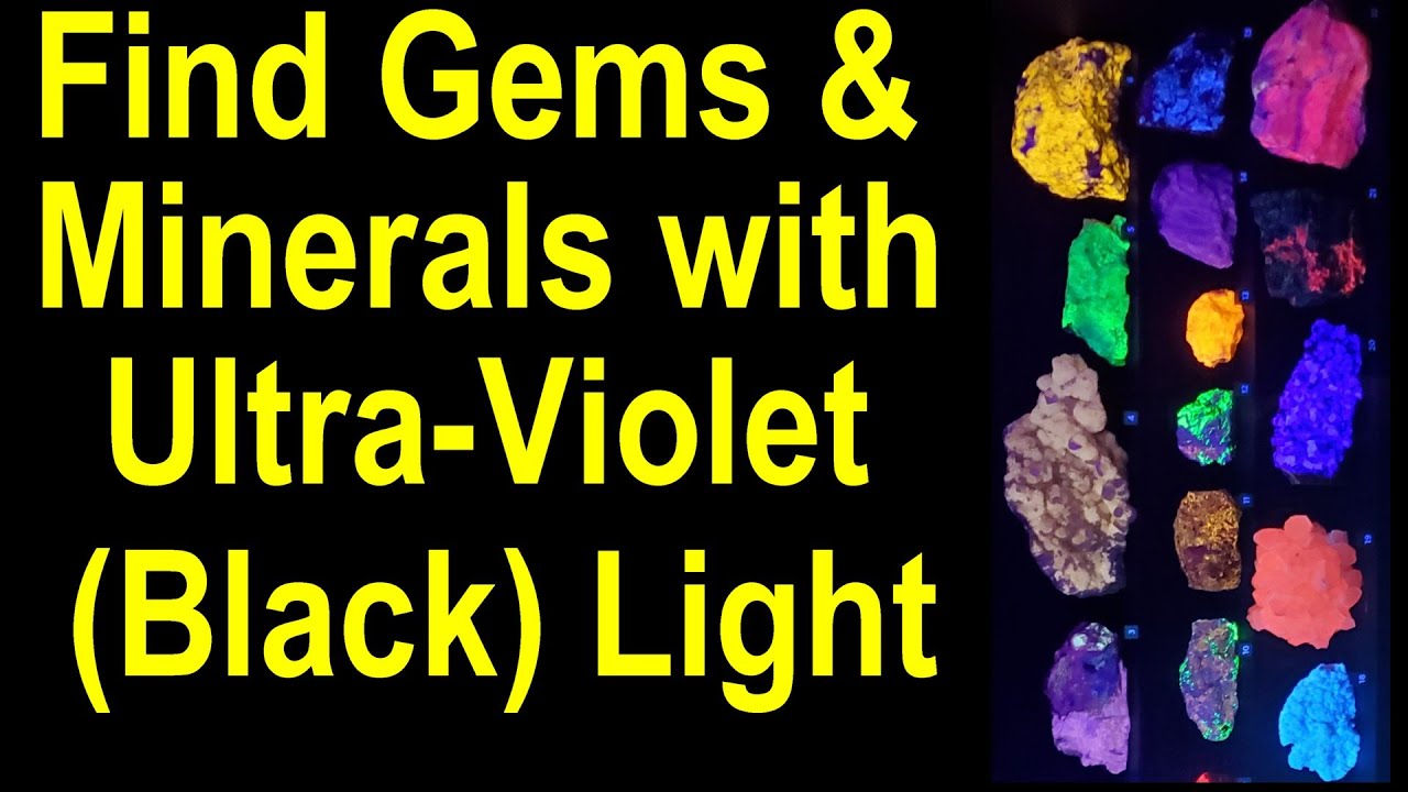 carmen alisha add violet gems videos photo